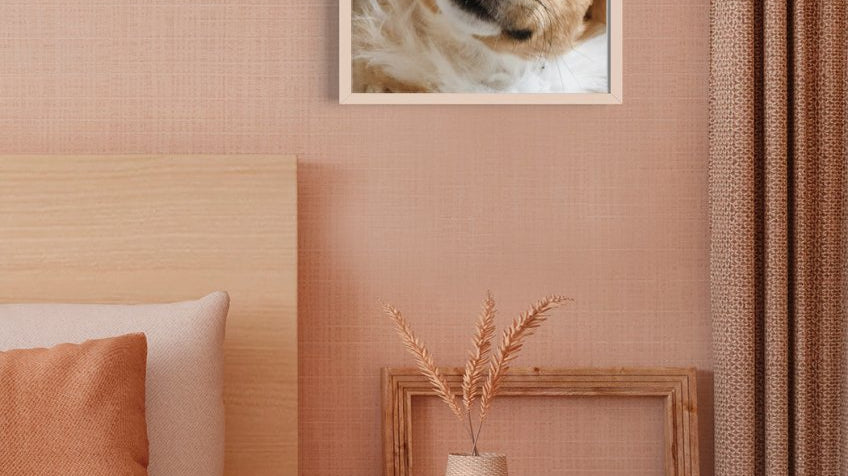 Taulu omasta koirasta - Nensa