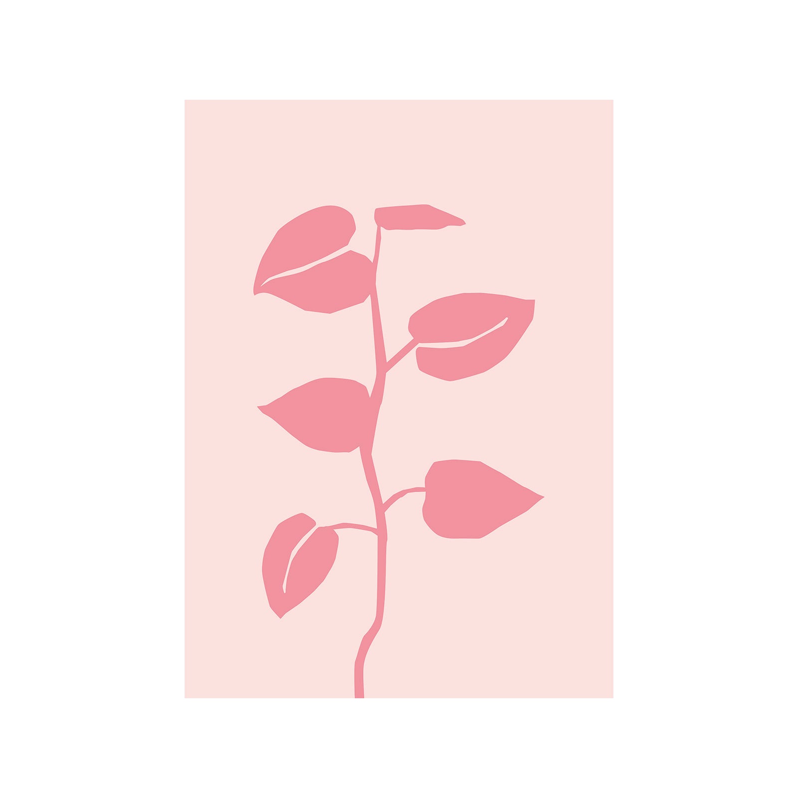 Floral Silhouette