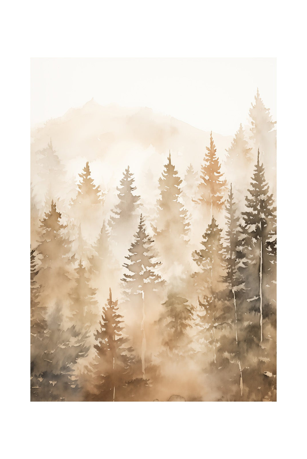 Forest's Faint Fragments