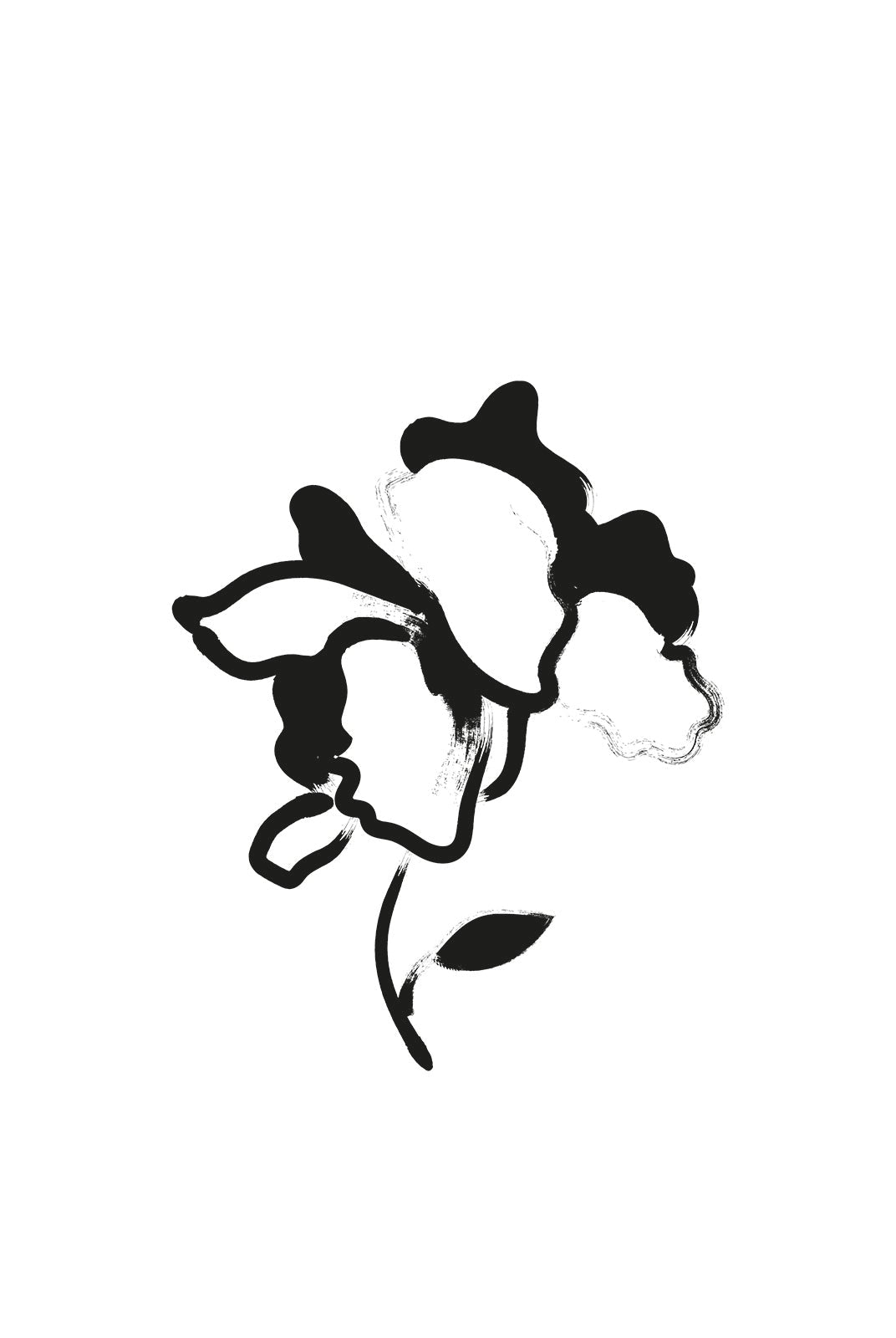 Petal Patterns