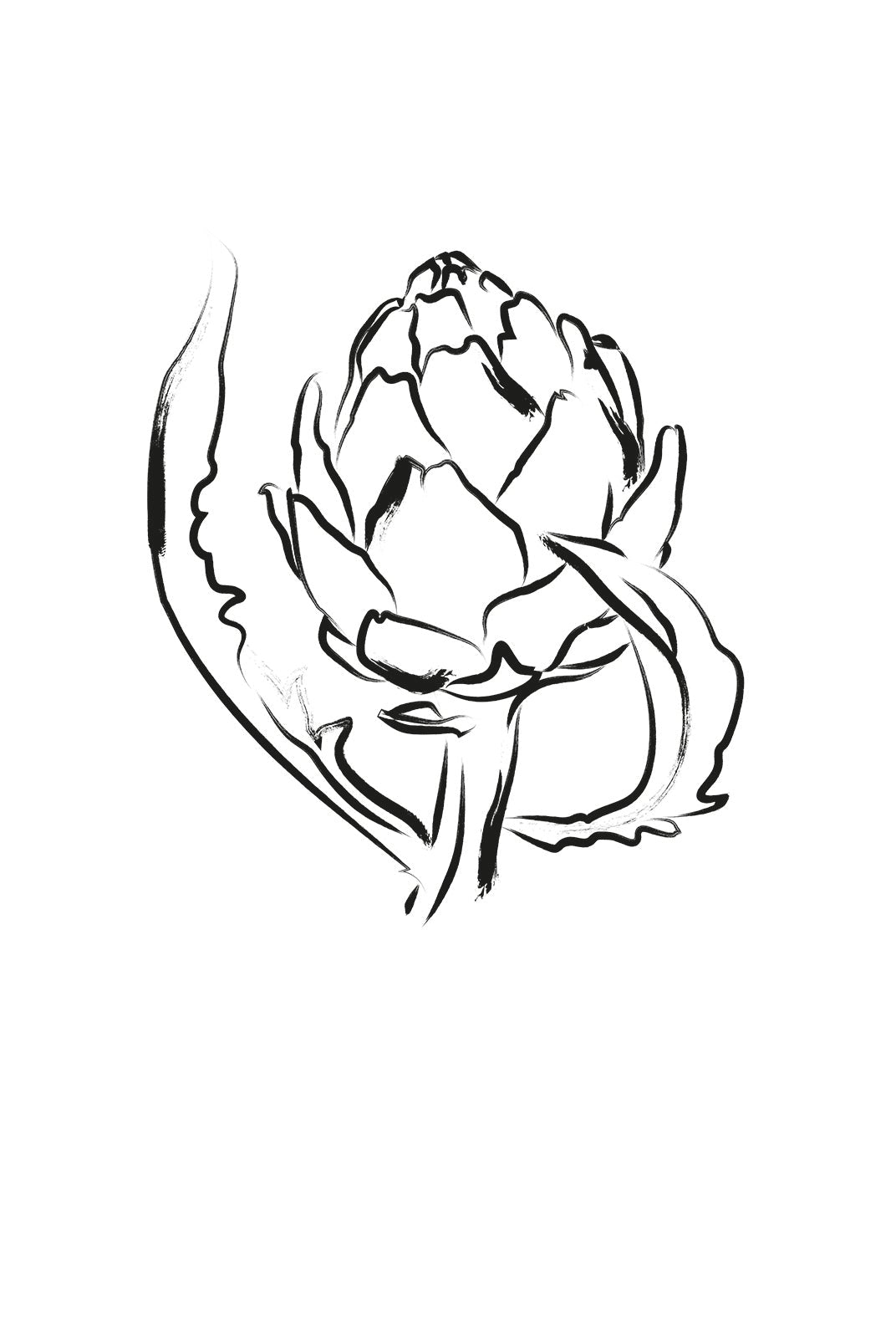 Petaled Whorl