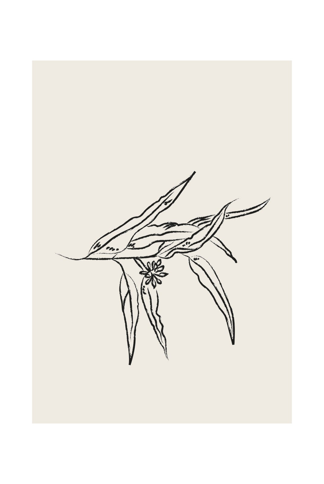 Seagrass Whispers