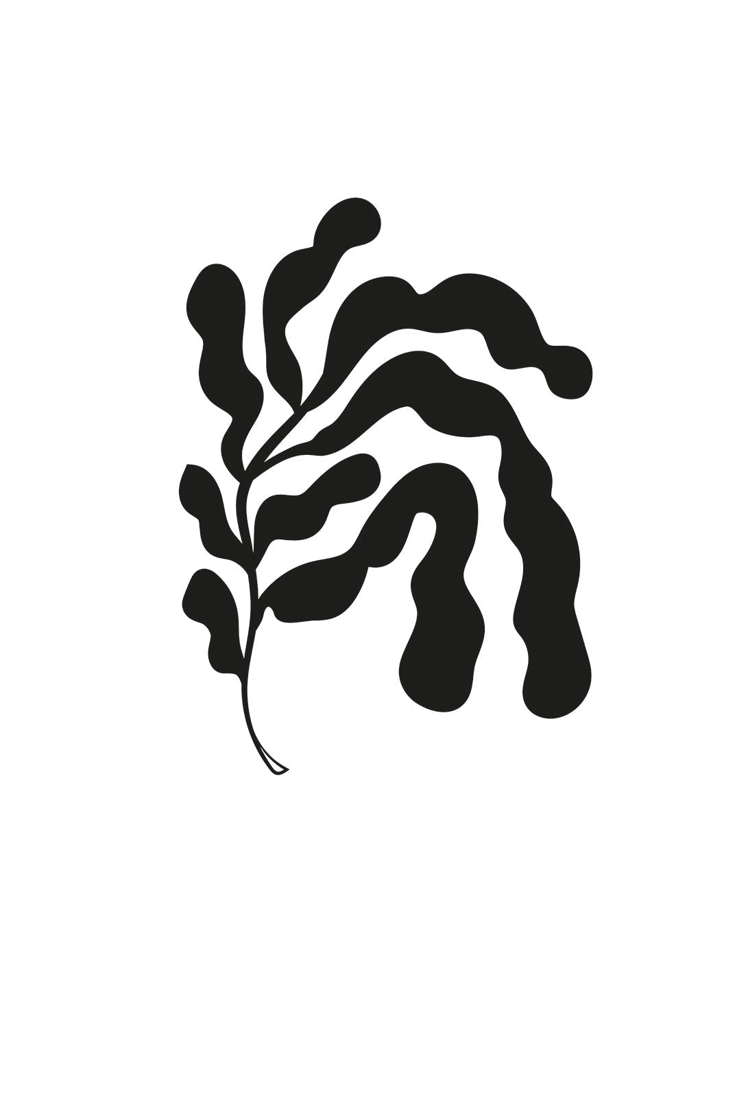 Tropical Silhouette