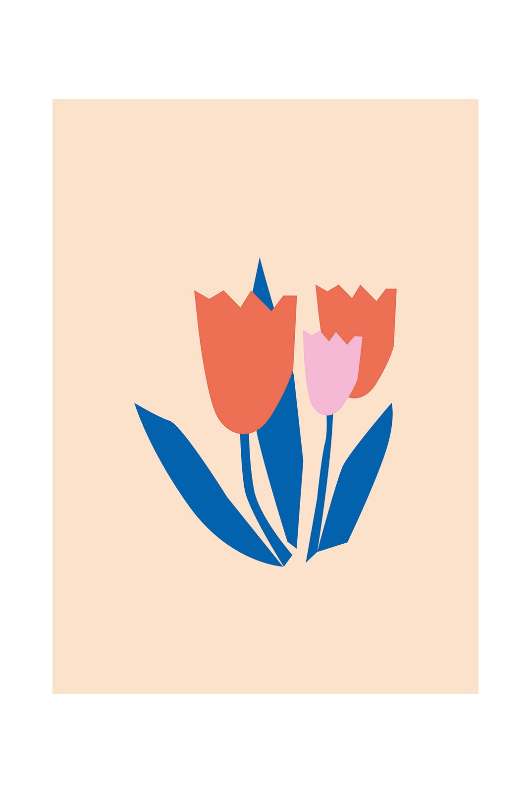 Tulip in Tones