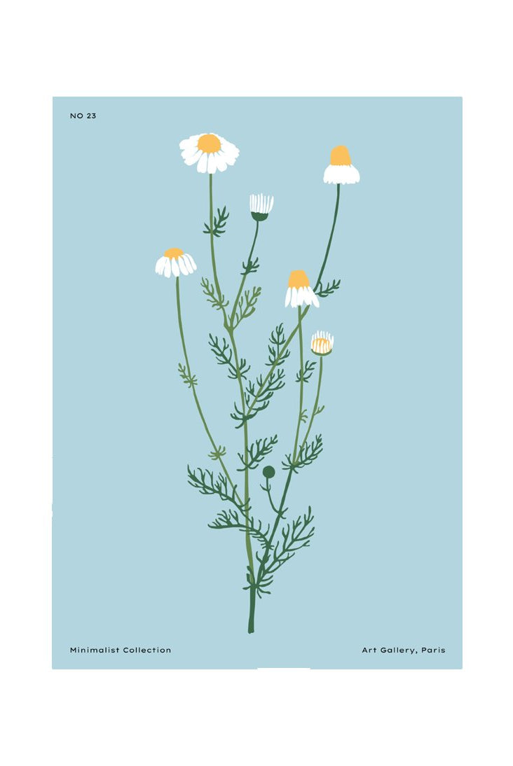 Botanical #12