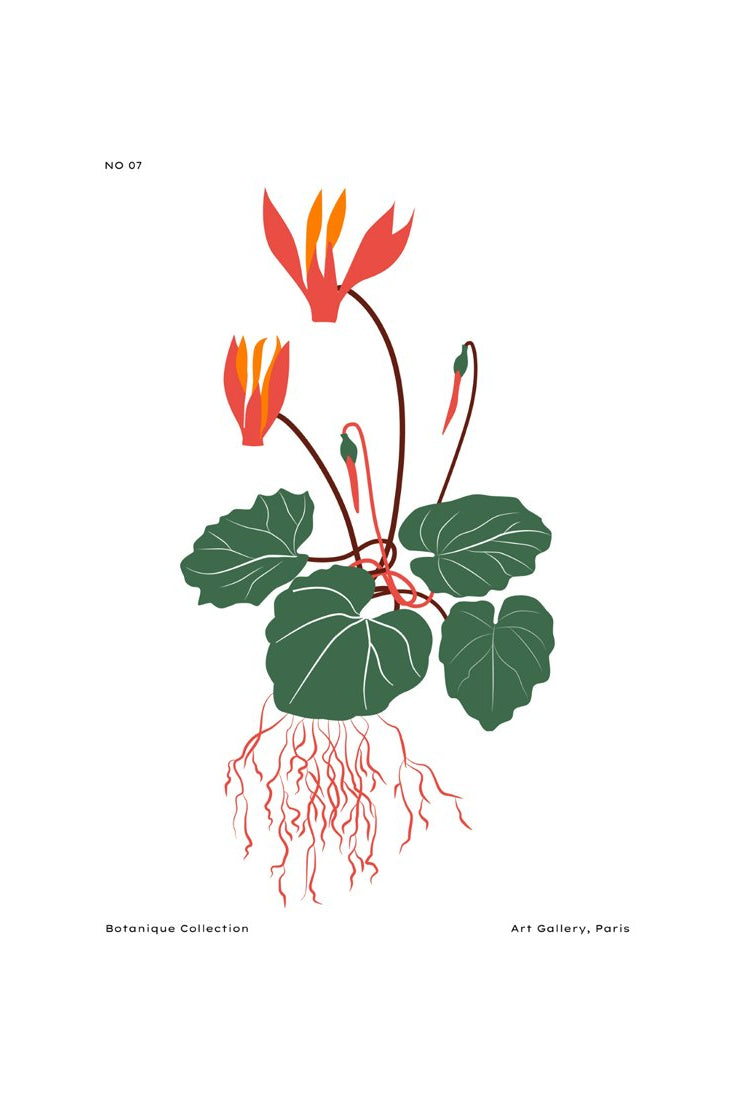 Botanical #23