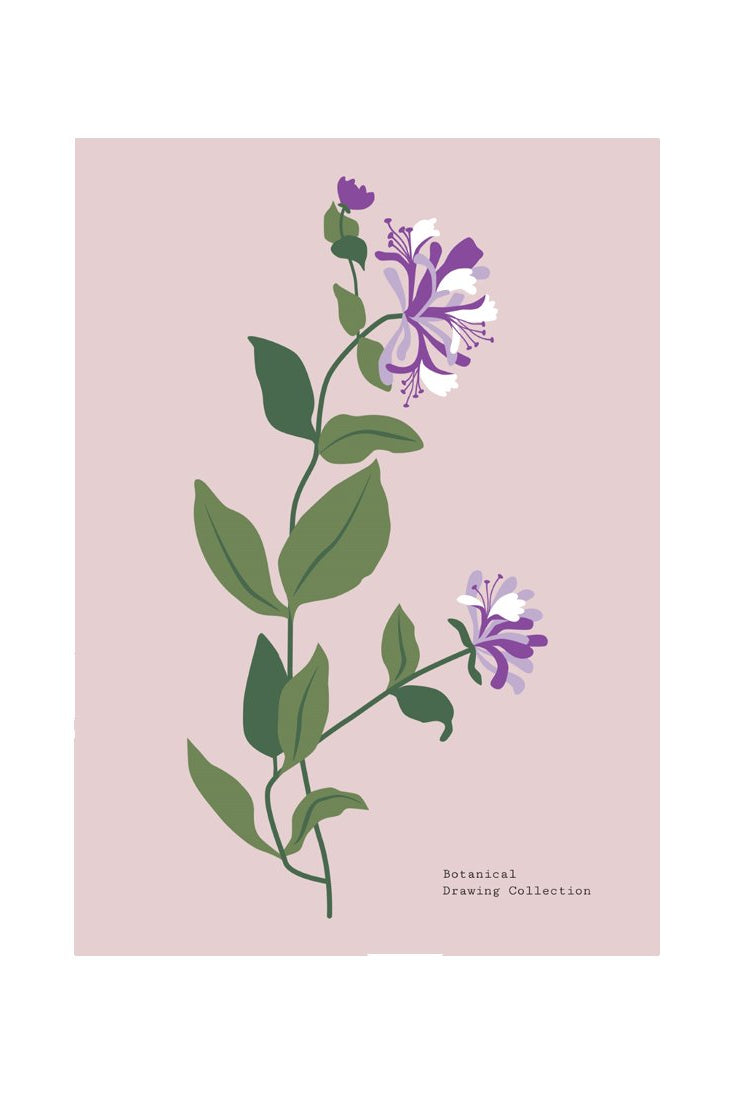 Botanical #25