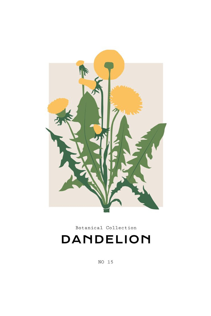 Botanical #26