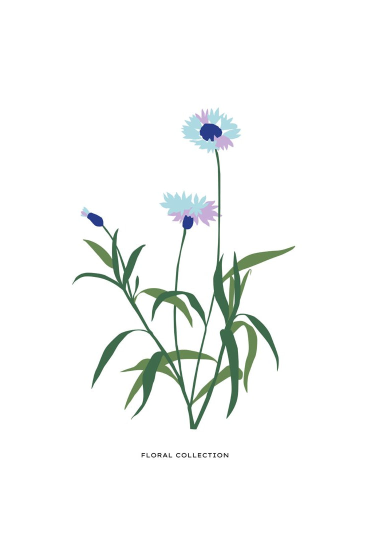 Botanical #31