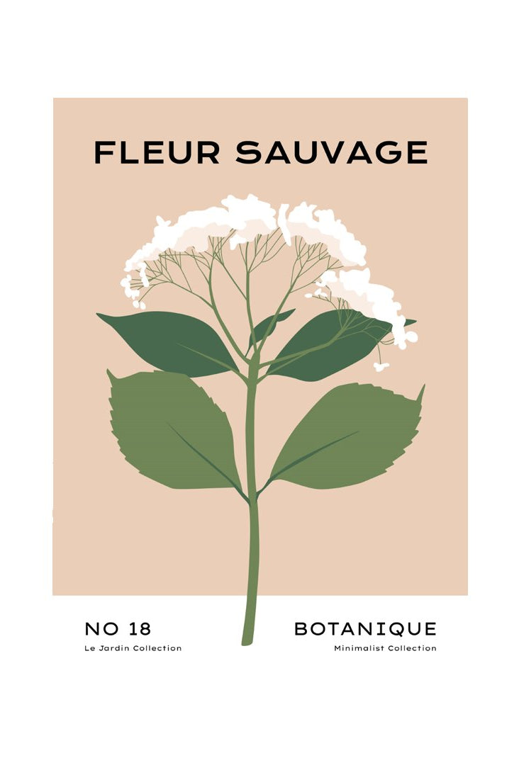 Botanical #36