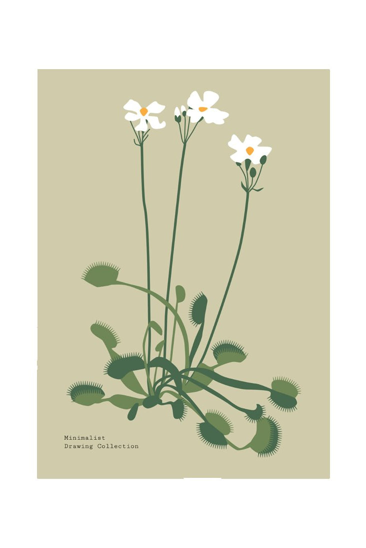 Botanical #45
