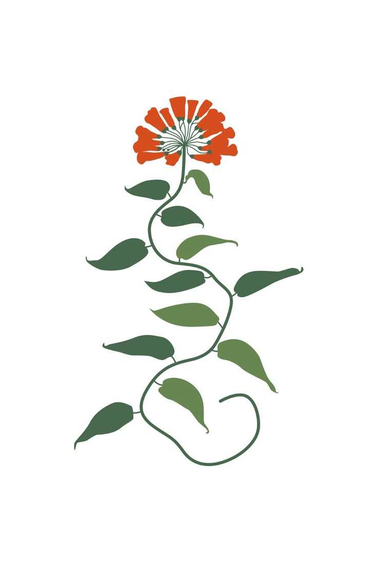 Botanical #51
