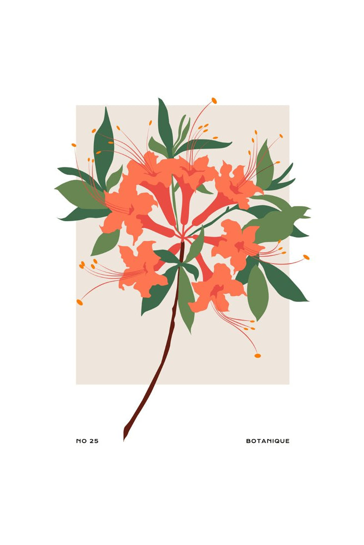 Botanical #52