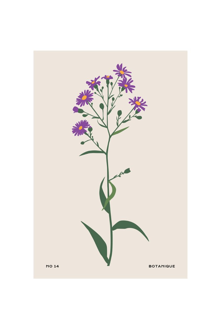Botanical #6