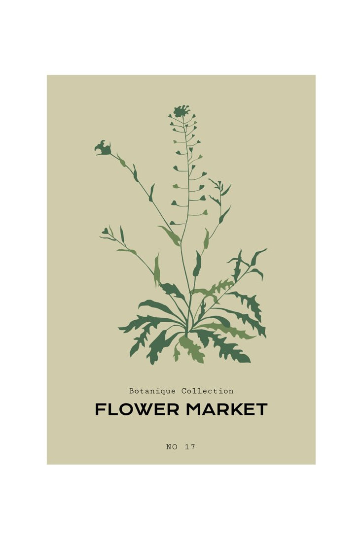 Botanical #8