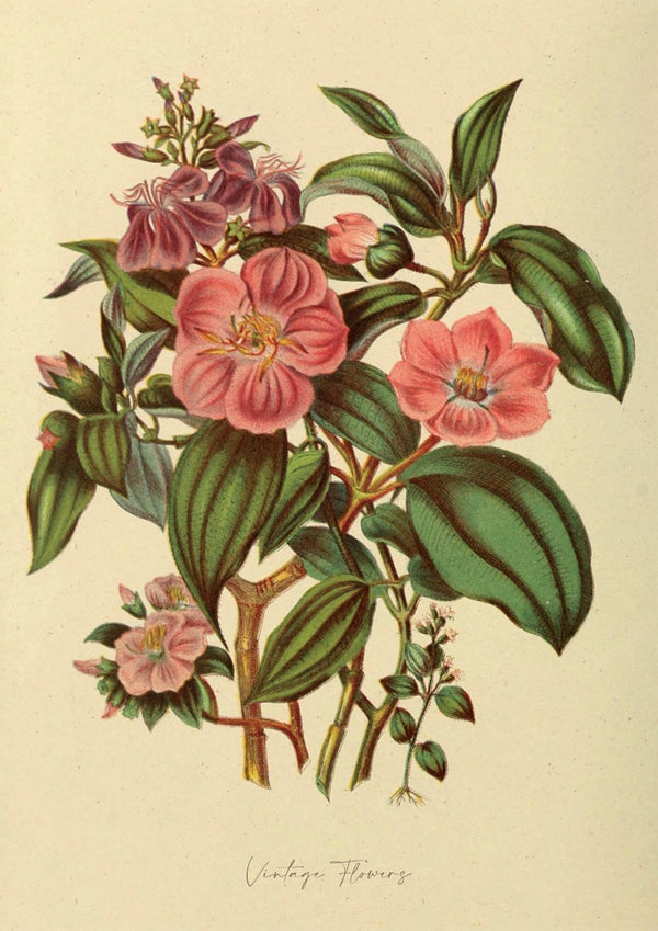 Floral XXXV