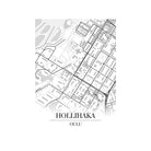 Hollihaka