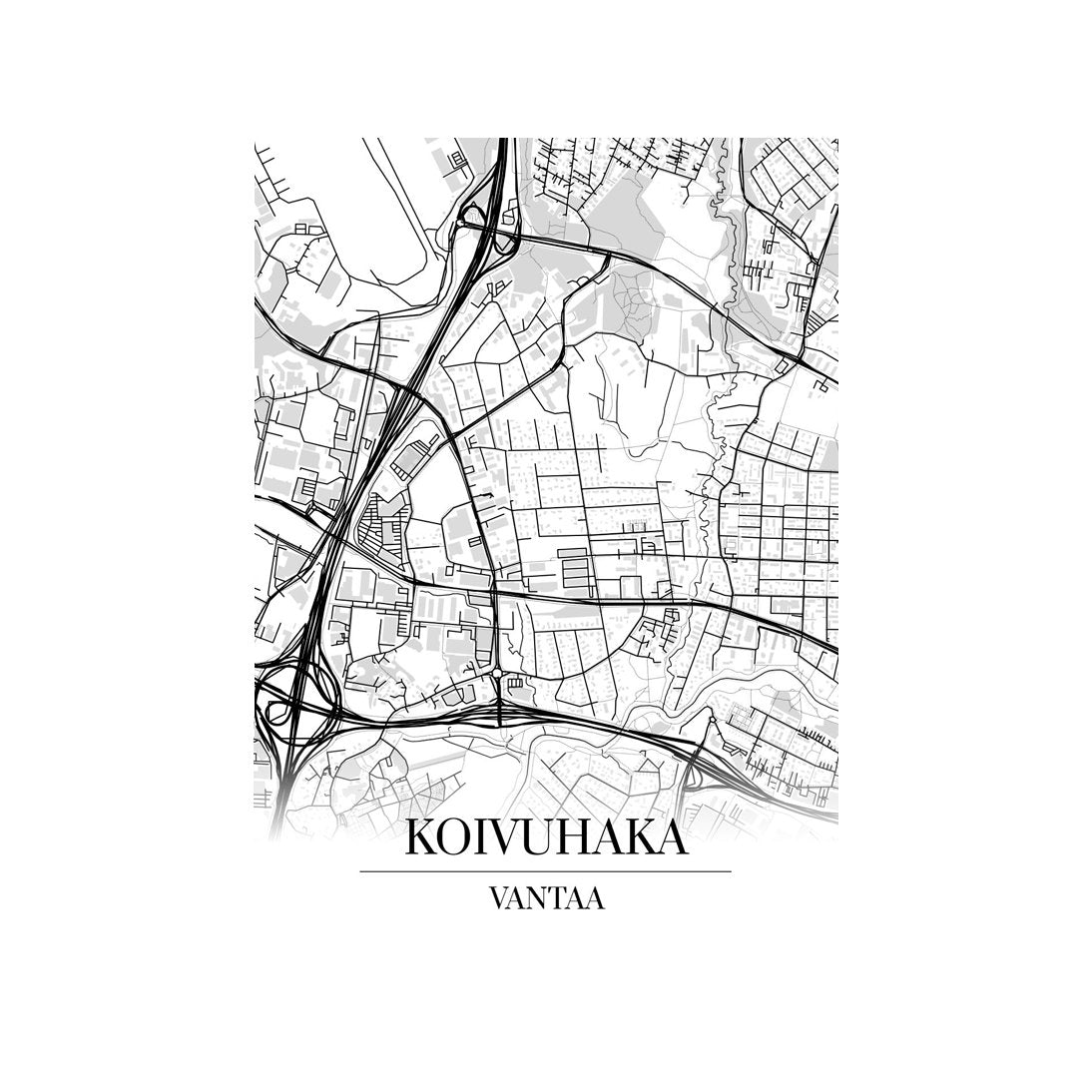 Koivuhaka