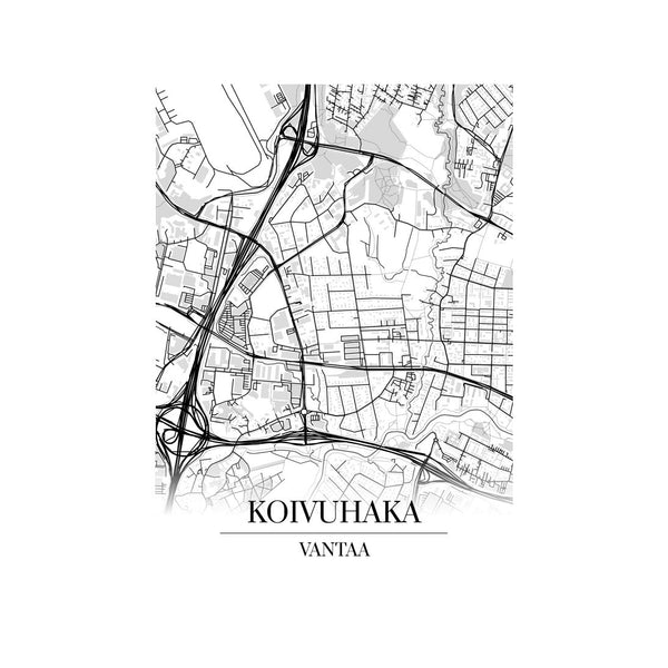 Koivuhaka