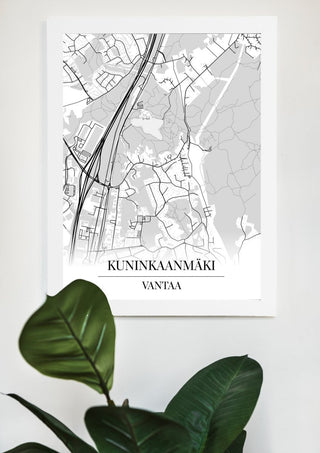 Kuninkaanmäki Kartta - Nensa