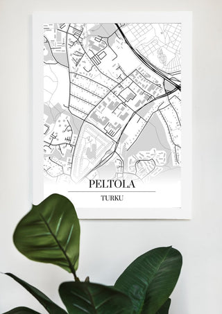 Peltola Kartta - Nensa