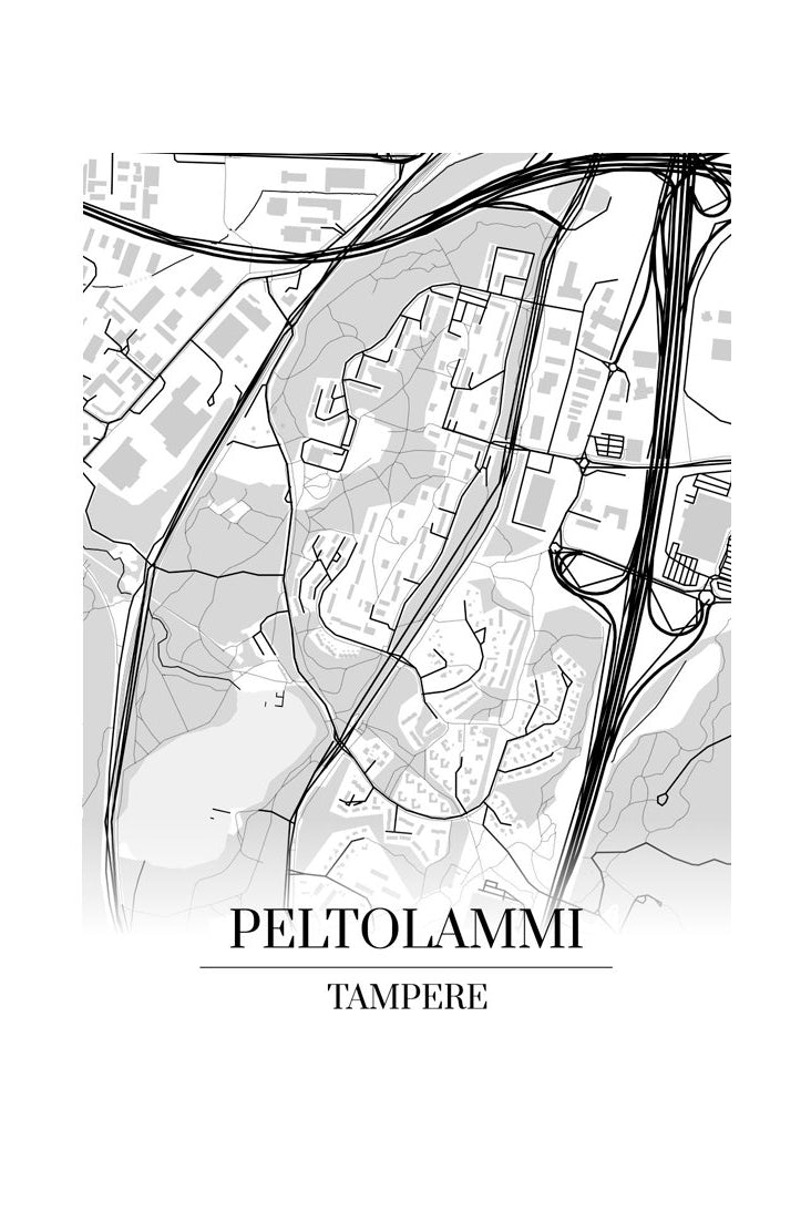 Peltolammi