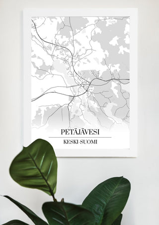 Petäjävesi Kartta - Nensa