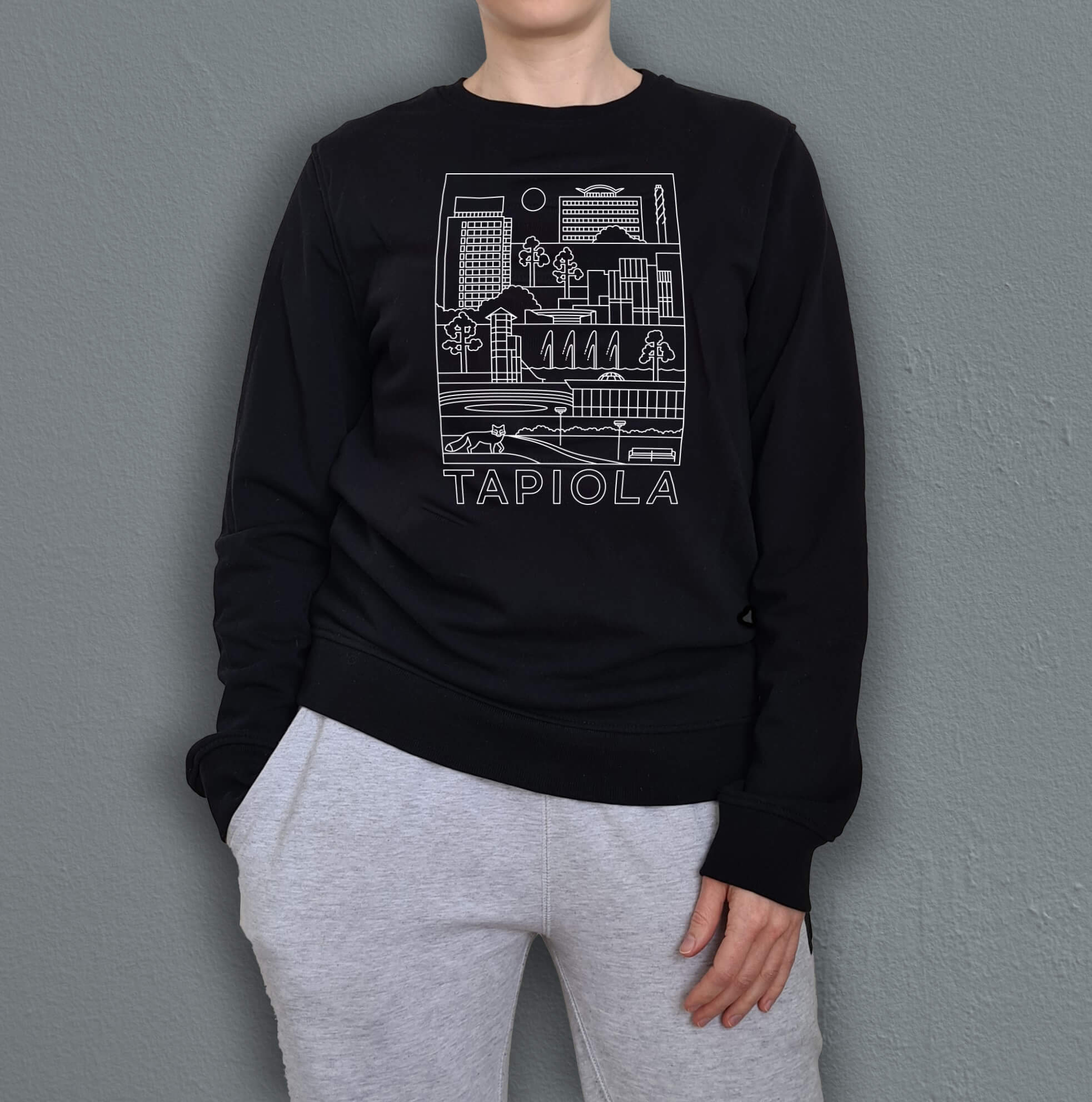 Tapiola -nähtävyydet college