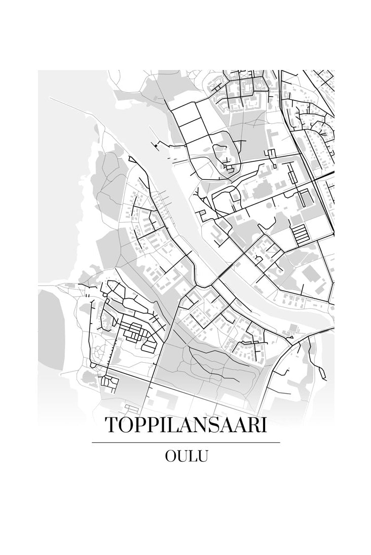 Toppilansaari