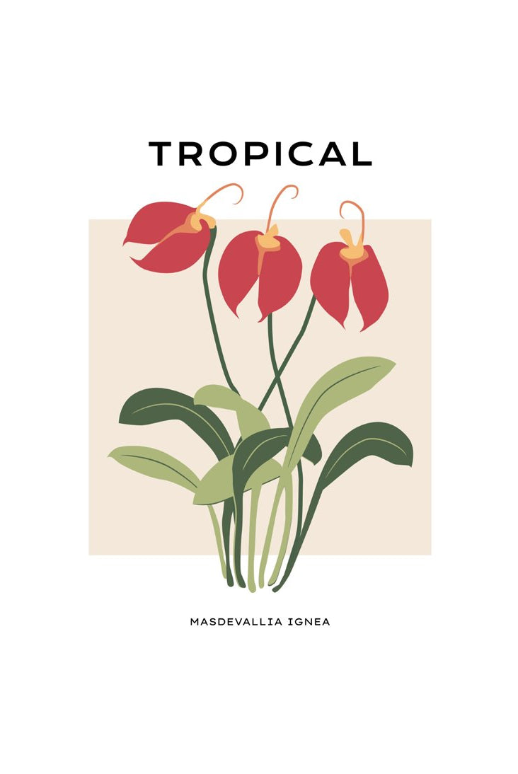 Tropical Day #18