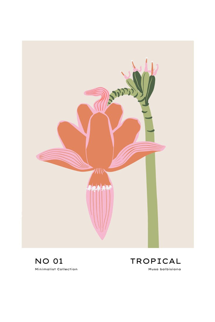 Tropical Day #2
