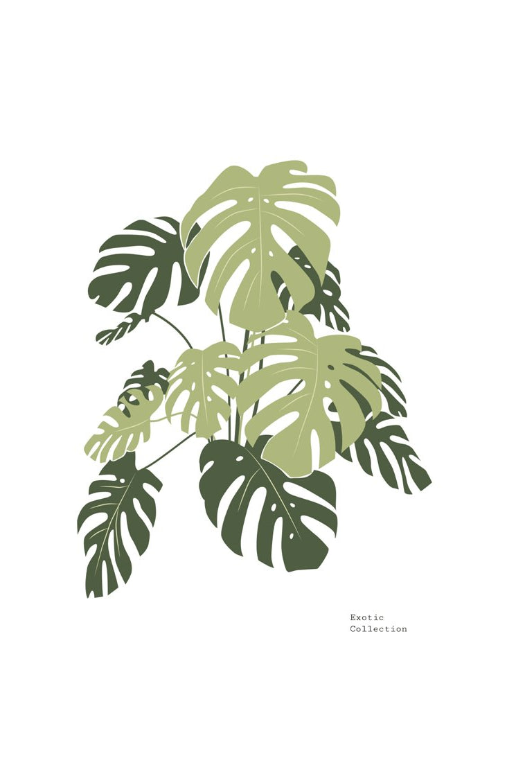 Tropical Day #3