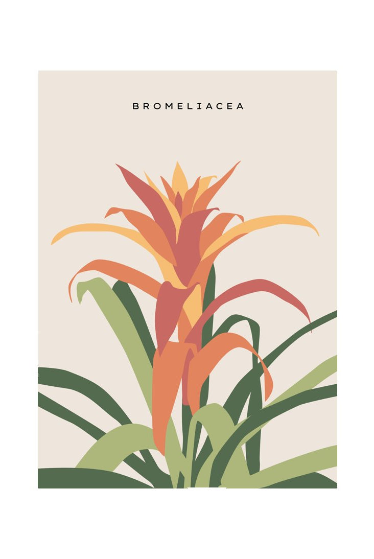 Tropical Day #37