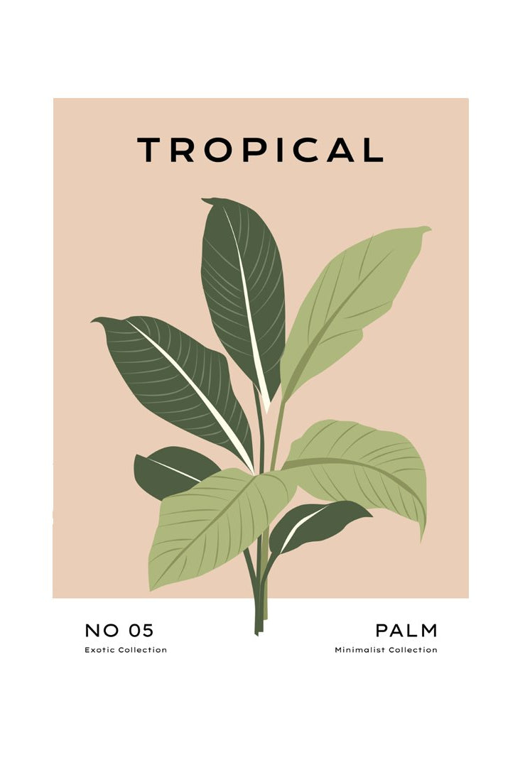 Tropical Day #49