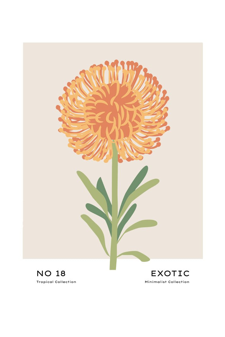 Tropical Day #51