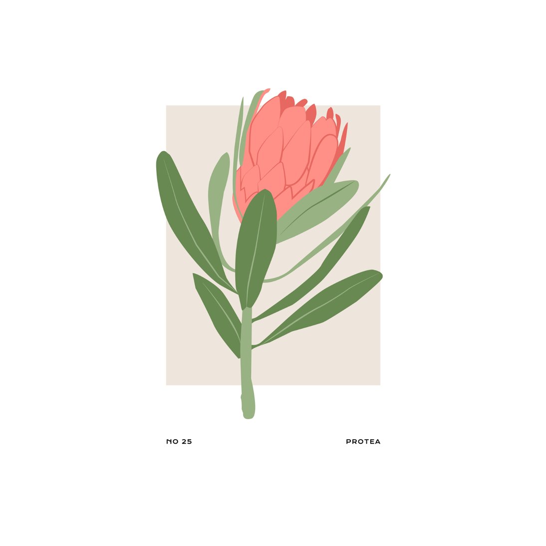 Tropical Day #52