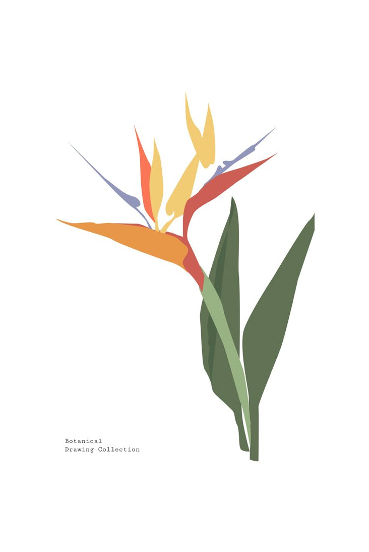 Tropical Day #63