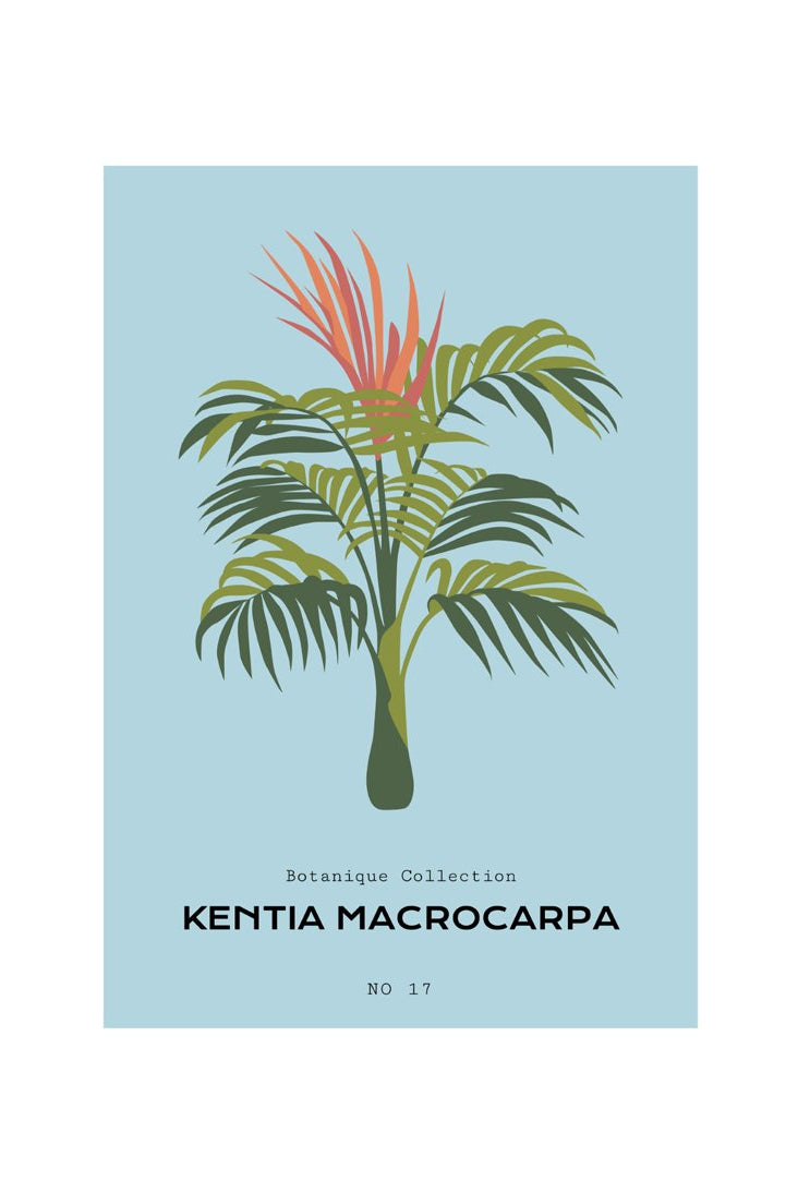 Tropical Day #8