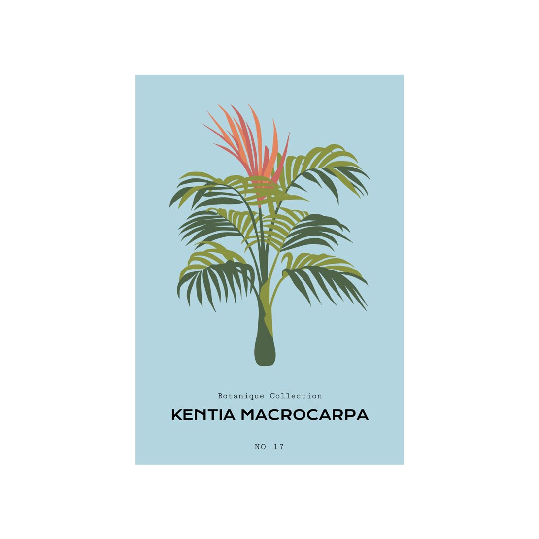 Tropical Day #8