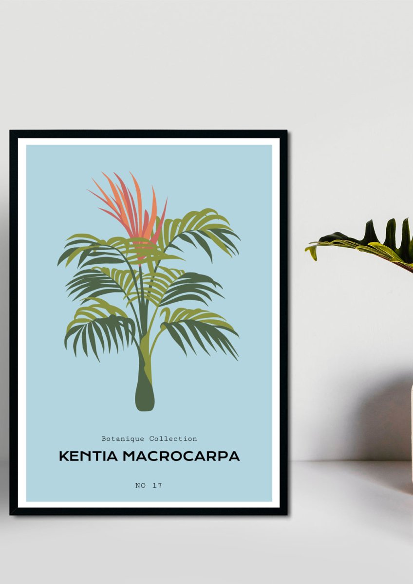 Tropical Day #8