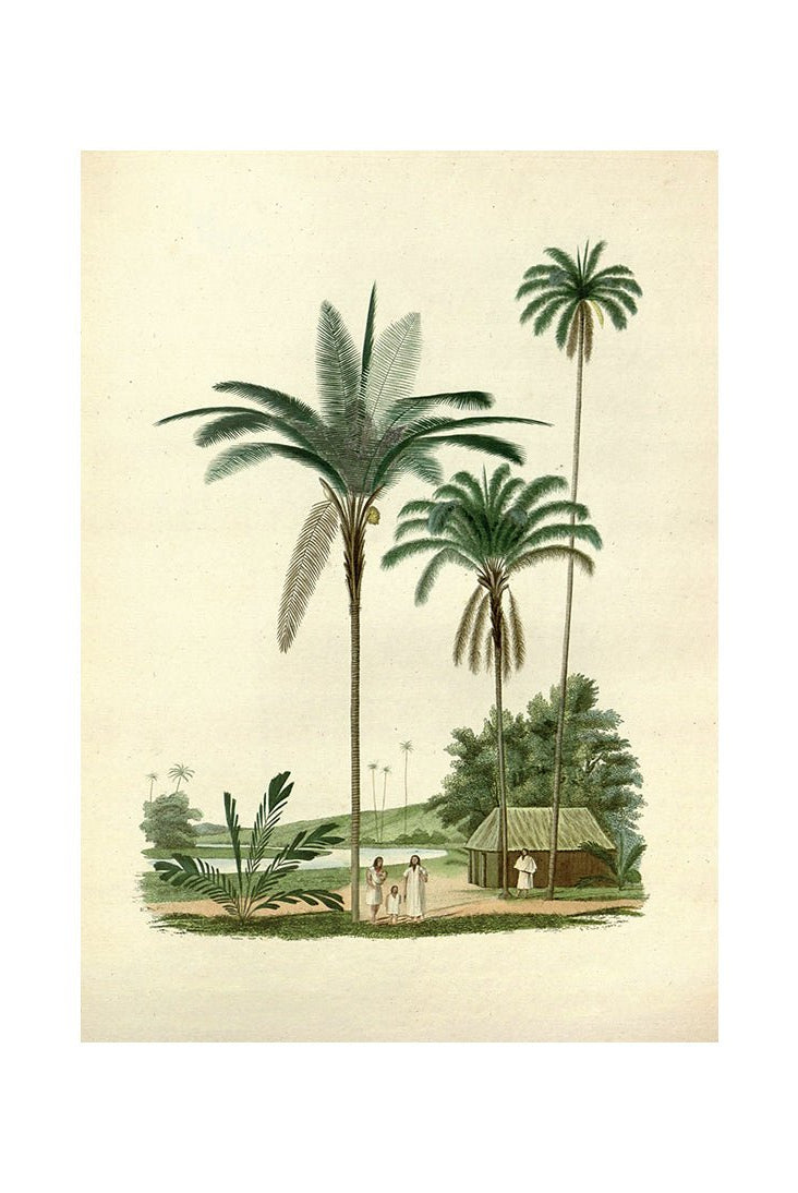 Tropical Escapade