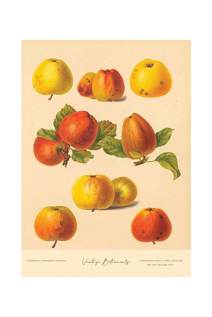 From Farm to Table I