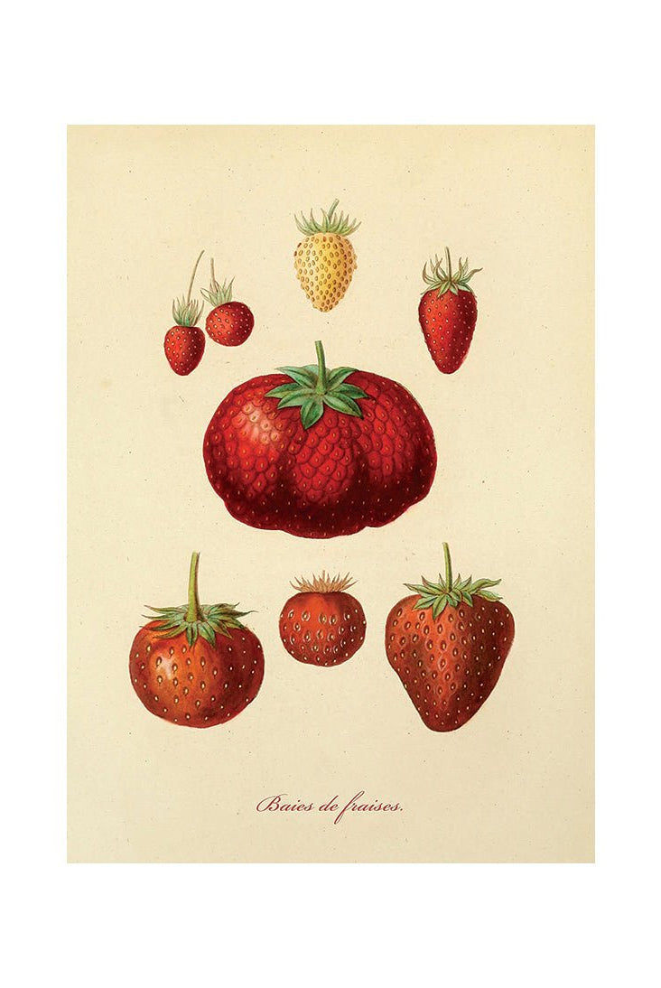 Taste of Nature's Joy II