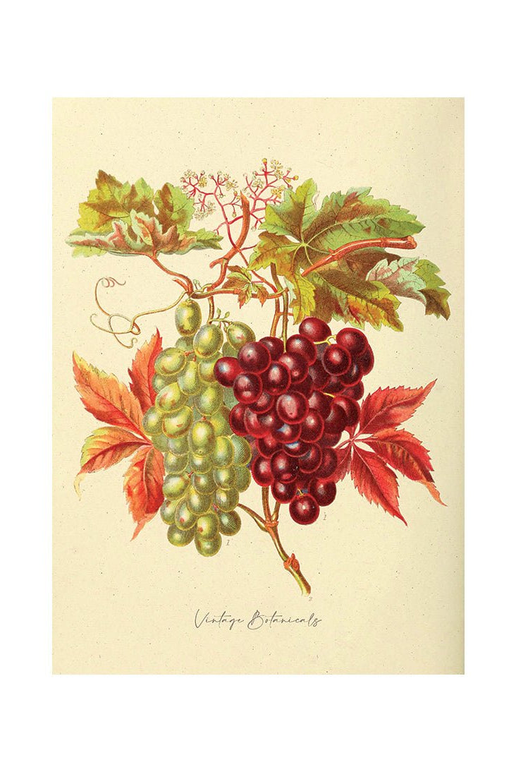 From Farm to Table II