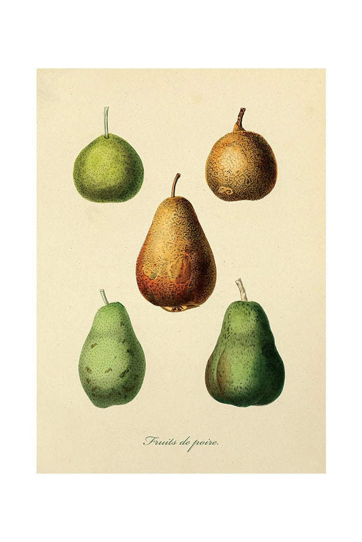 Taste of Nature's Joy III