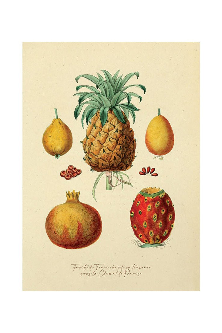 Visual Feast of Fresh Fare I