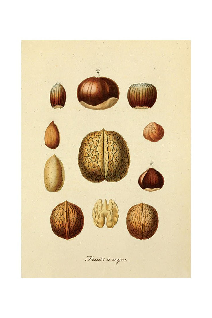 Taste of Nature's Joy IV