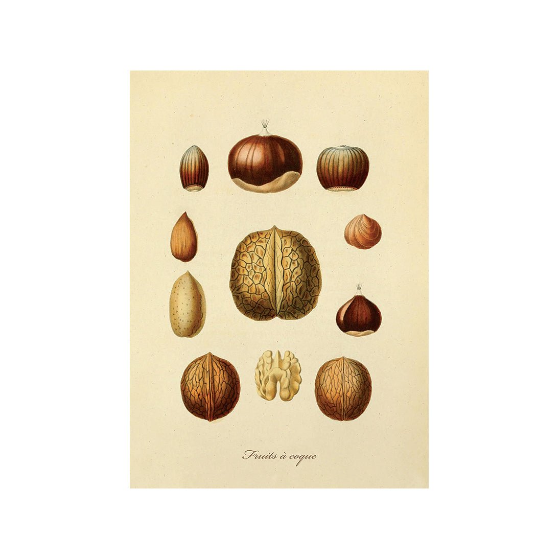 Taste of Nature's Joy IV