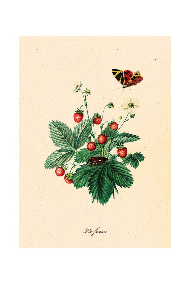 From Earth to Plate II