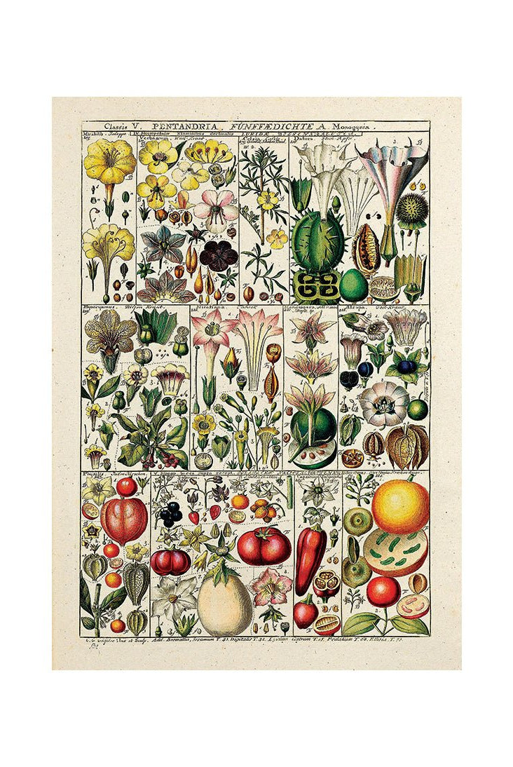 Flavors of the Earth III